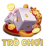 Các loại cookie khác nhau trên nền tảng bw808 đăng nhập