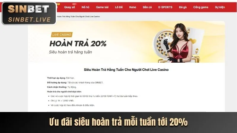 Hoàn trả hàng ngày cho thành viên BW808